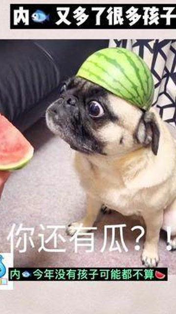 娱乐吃瓜宝宝,揭秘娱乐圈那些不为人知的幕后故事